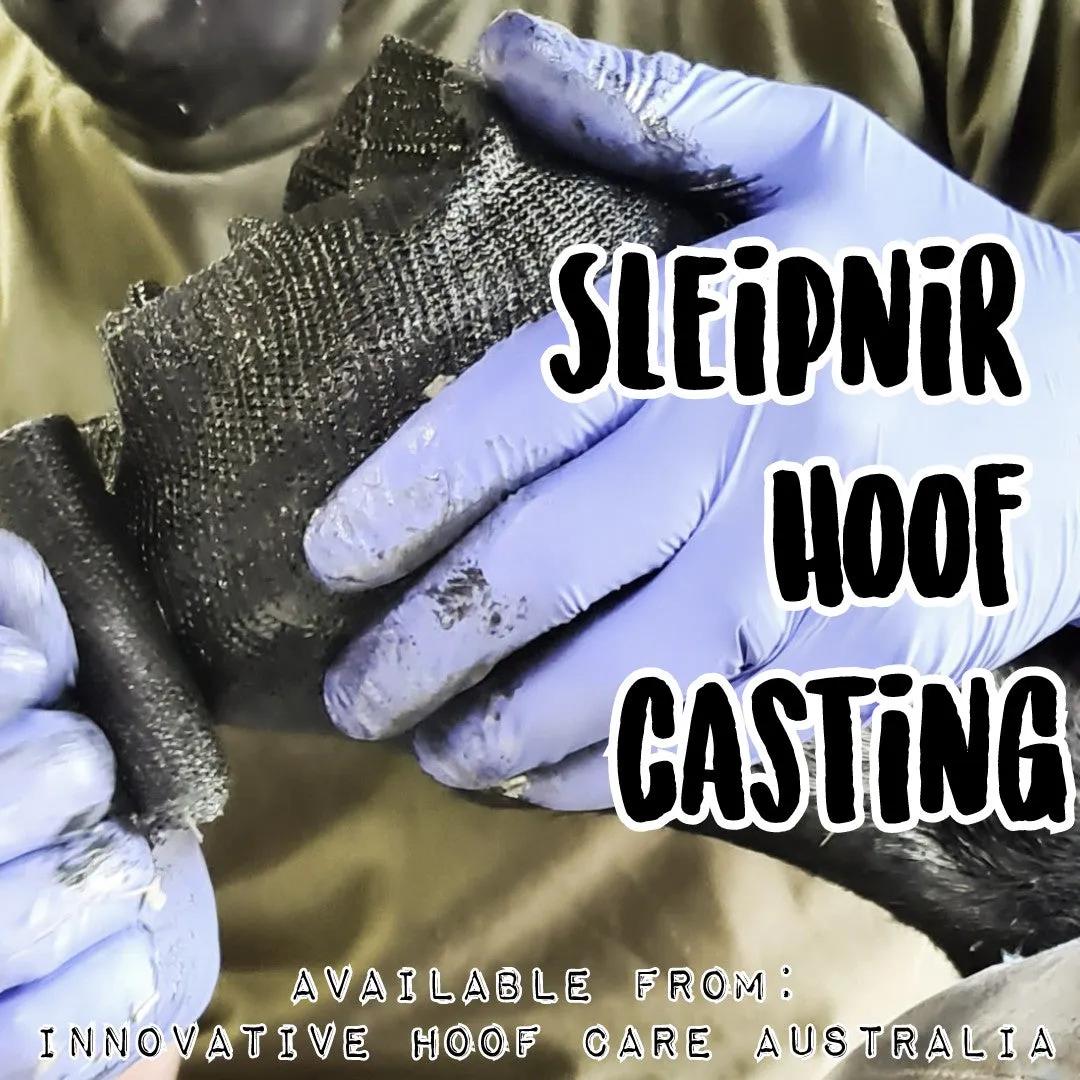 Eldrún Equine - Sleipnir Hoof Casting