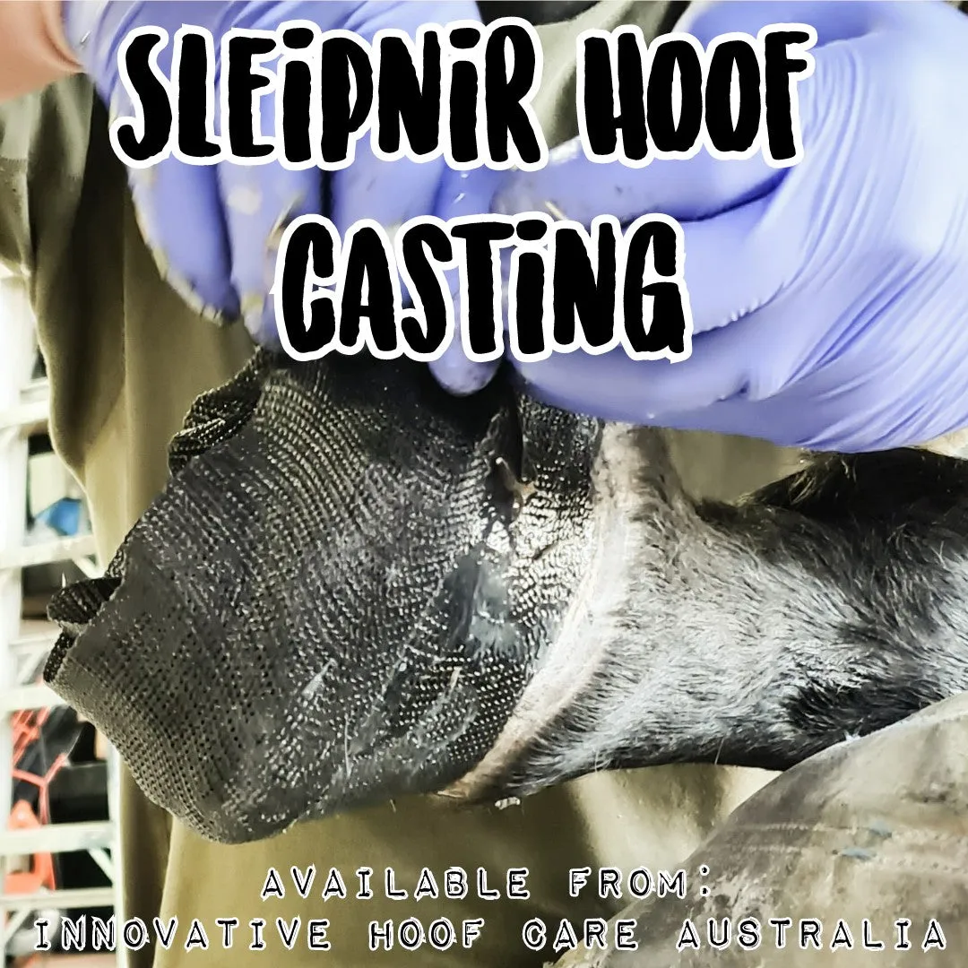 Eldrún Equine - Sleipnir Hoof Casting