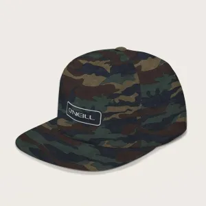 Hybrid Snapback