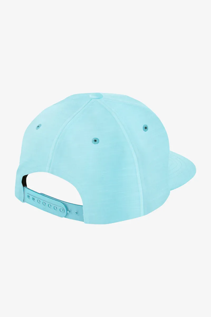 Hybrid Snapback