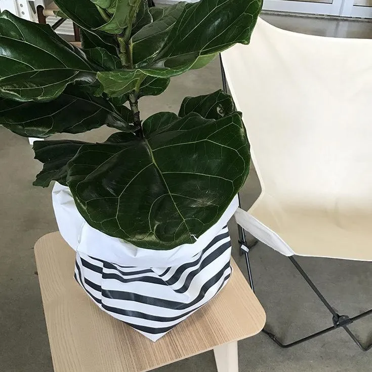 Washable Paper Sacs - L