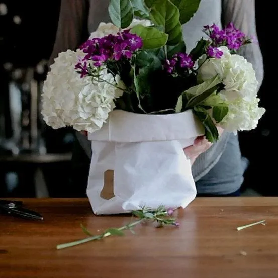 Washable Paper Sacs - L